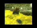 Kraft Macaroni Cheese Cheesy And Oni Noodle TV Commercial