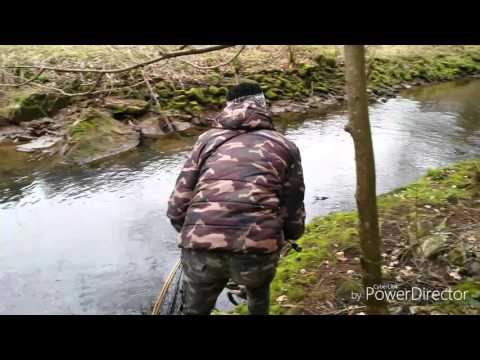 Angeln am Bach mit Spinner | + Tipps