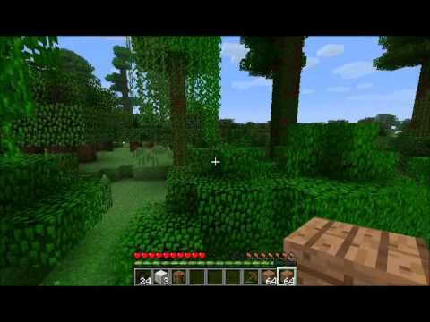Burak Minecraft'da Bölüm 1 - Burak Oyunda 2