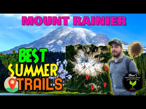 Wildflower Wonderland: Identifying Trees and Flowers in Mt. Rainier!