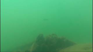 ecco-i-fondali-marini-del-golfo-di-napoli