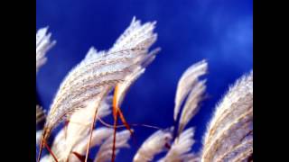 Brian Eno - Unfamiliar Wind (Leeks Hills)