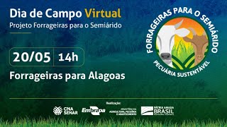 Miniatura do vídeo