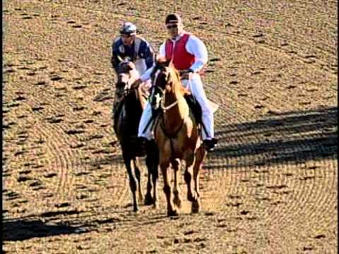 Invasor - Whitney Handicap (G1) - Saratoga Race Course 08/05/2006