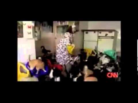 Moshpit Cat Party hard