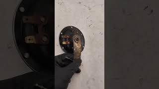 Vídeo de Buzina Ninja 00 Kawasaki Zx 11 1995