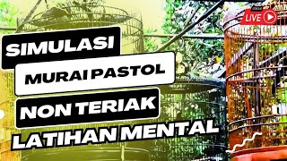 Download lagu Simulasi lomba murai batu pastol ‼️ jernih tanpa teriakan mp3