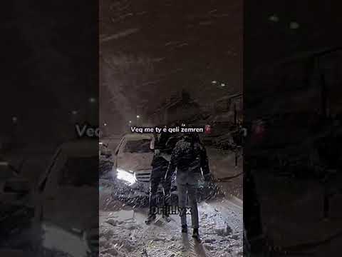 Deri sa nuk t'gjeta ty🌍..#lyrics #fypシ #viralsetqr #bardhi #hayat