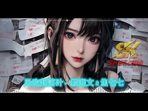 风吹起落叶 - 赖湘文 & 焦七七 Remix 2k25