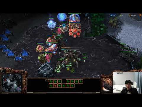 Starcraft 2 Shorts: Rogue is upset