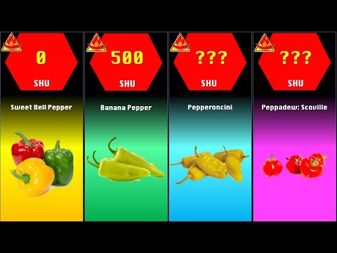 comparison I Peppers Ranked by Scoville Heat Units