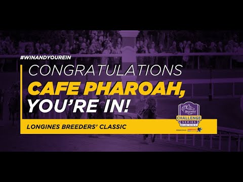 2022 February Stakes- Cafe Pharoah