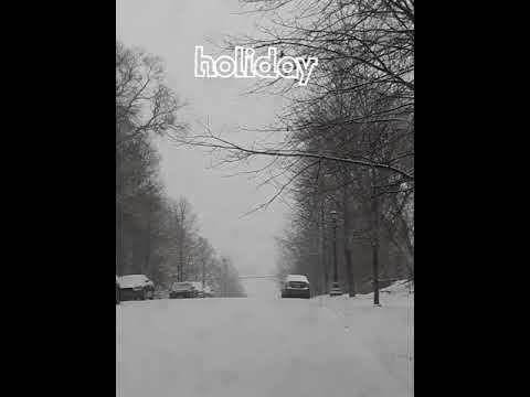 Minnesota Snowfall November 29th, 2022