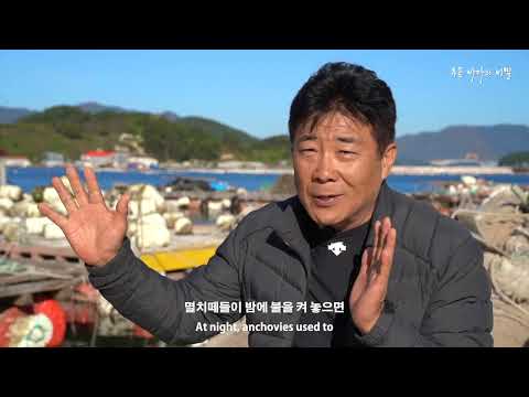 15th DMZ Docs | 푸른 바다의 비밀 | The Secret of the Blue Sea Trailer 예고편