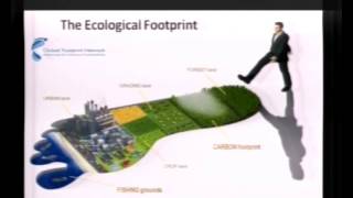 Agriculture and the economics of ecosystems and biodiversity -- P. Sukhdev, TEEB