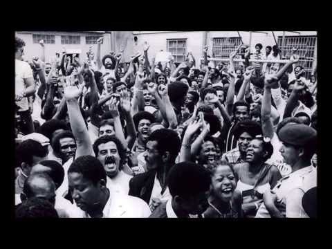 Camisa Verde e Branco - 1977