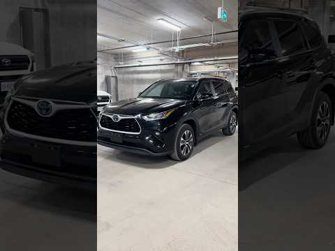 2024 Toyota Highlander in Black for sale at North London Toyota in London, ON