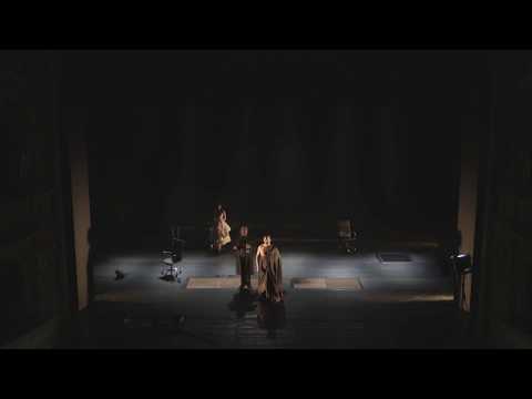 Jure Počkaj - Champagne aria from Don Giovanni - Fin ch'han dal vino