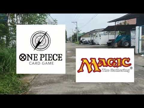 Card Shop POV | Business Stuff - One Piece TCG is Taking Over Magic the Gathering