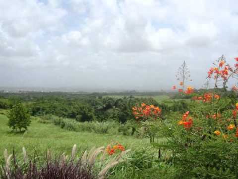 MIKE GROSVENOR ~ Tell Me