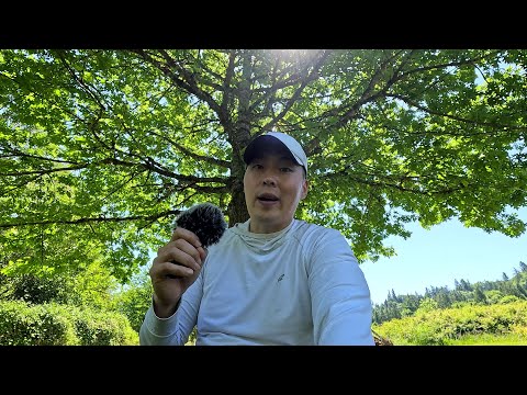 Ask Goobie - I Feel Out Of Place In This Life. What Must I Do With These Feelings?