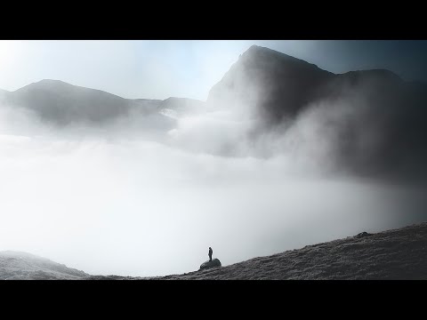 The Ambientalist - Solace