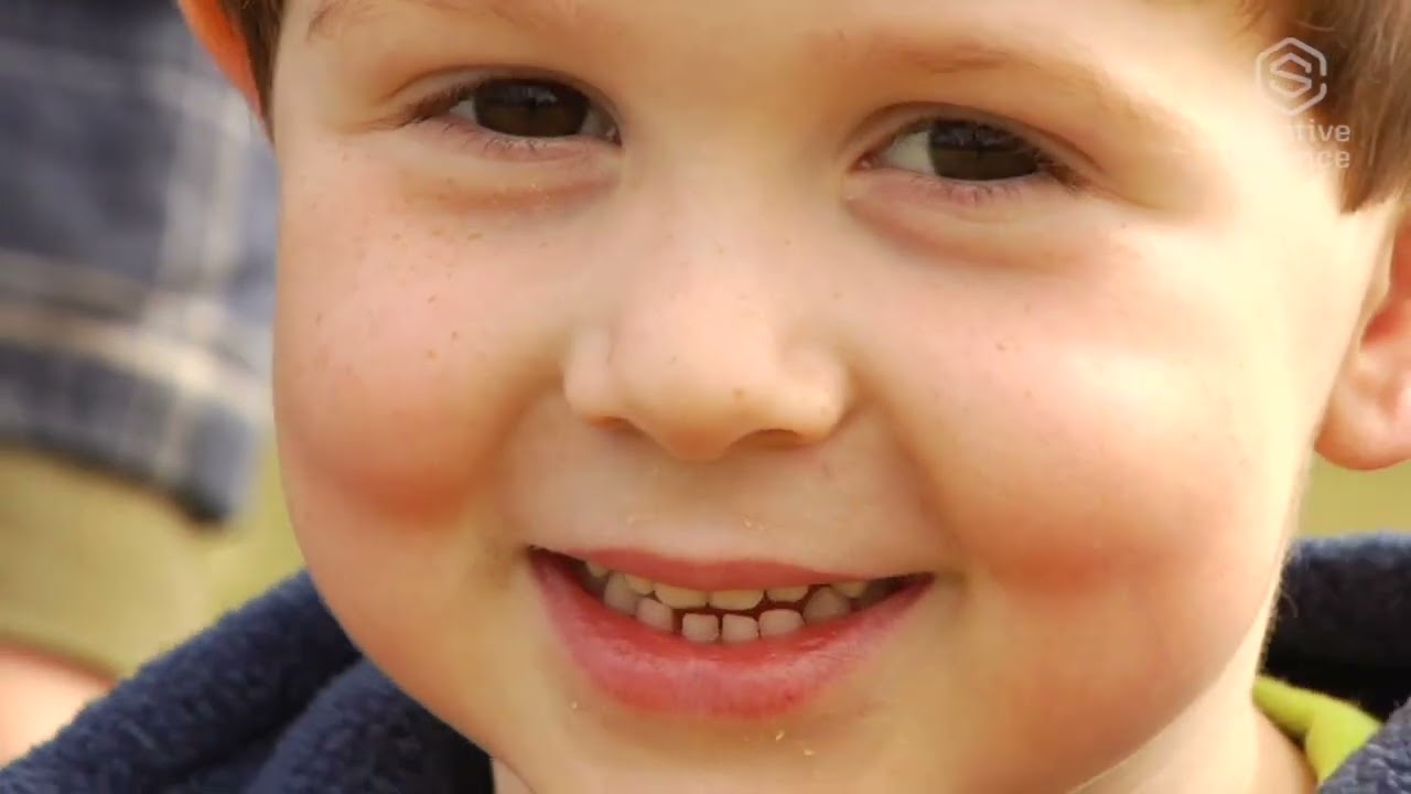 Creative Science, Horses & Faithful Friends