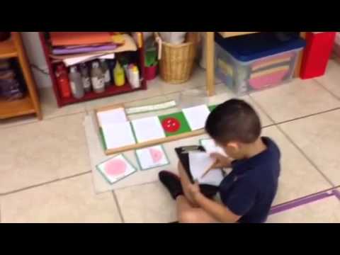 Montessori Learning Center, Miami, Kendall
