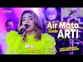 DEVI ALDIVA Ft NEW PALLAPA AIR MATA TIADA ARTI LIVE CONCERT WAHANA MUSIK
