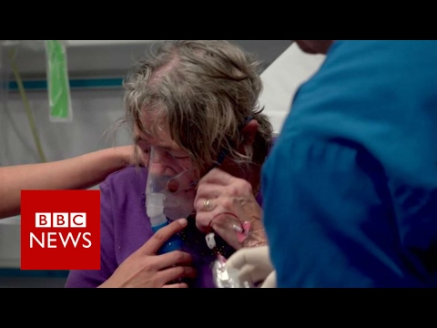Watch lagu Images Videos News Bbc Nhs, Watch Images News Bbc Nhs free Watch, Watch Images News Bbc Nhs