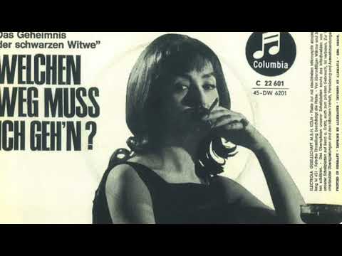 Belina - Die Schwarze Witwe