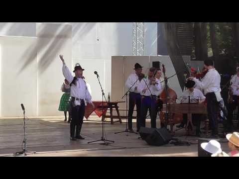 Strážnice 2016 finále - Bořek Smaženka Lipov