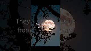 Download lagu plz alive Moonbin😭🥀🕊❤ #moonbin #moon #astro #sanha #eunwoo #jinjin #moonbini #alive #kpop mp3