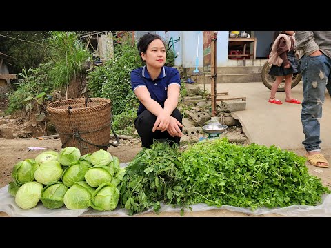 , title : 'Cabbage Harvest & Coriander Go market sell | Cook pig food | Life in farm.'