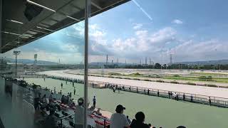 園田競馬場レースシーン 2026年7月
