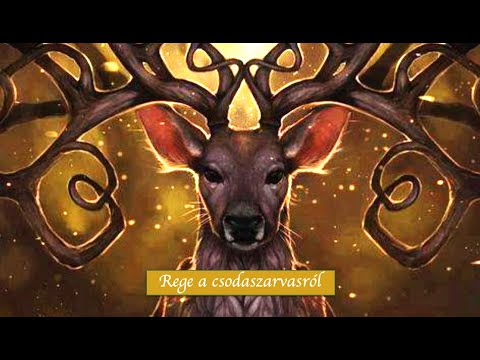 Rege a csodaszarvasról