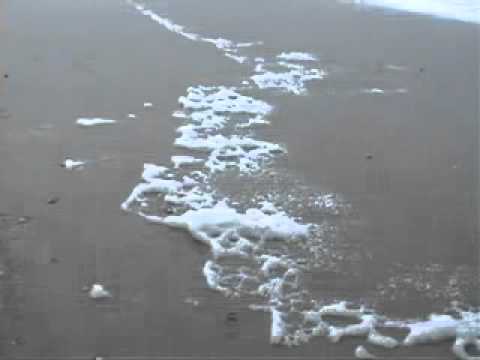 aadarayath muhuda wage -Edward Jayakody