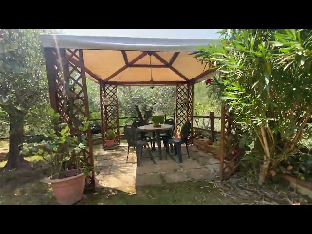 Giardino e esterno parcheggio