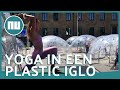 Canadezen volgen bikramyoga in koepels in het park | NU nl