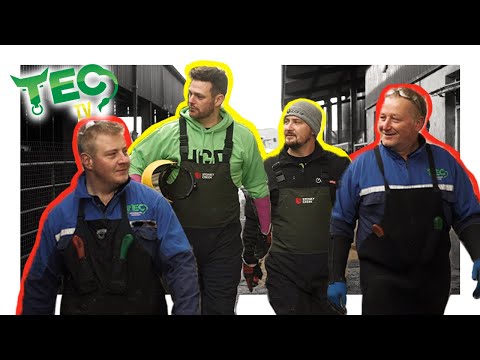 HOOF GP COMES TO TOWN FOR AN F1 COW HOOF TRIM | TEC TV