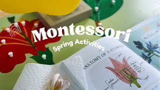 Montessori Spring Activities|Spring Activities #montessoriwithhart
