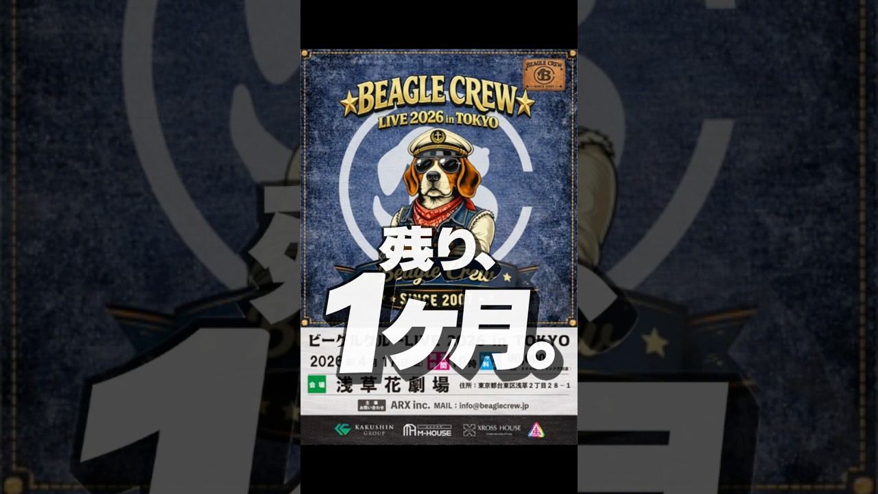 東京ワンマンライブライブまで残り1か月です。ビーグルクルーLIVE2026 in TOKYO［日程］2026年4月17日(金)