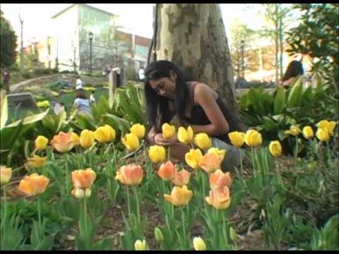 Nereyda Quinceanera VideoClip