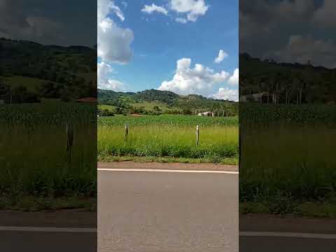 estrada para Araçu GO
