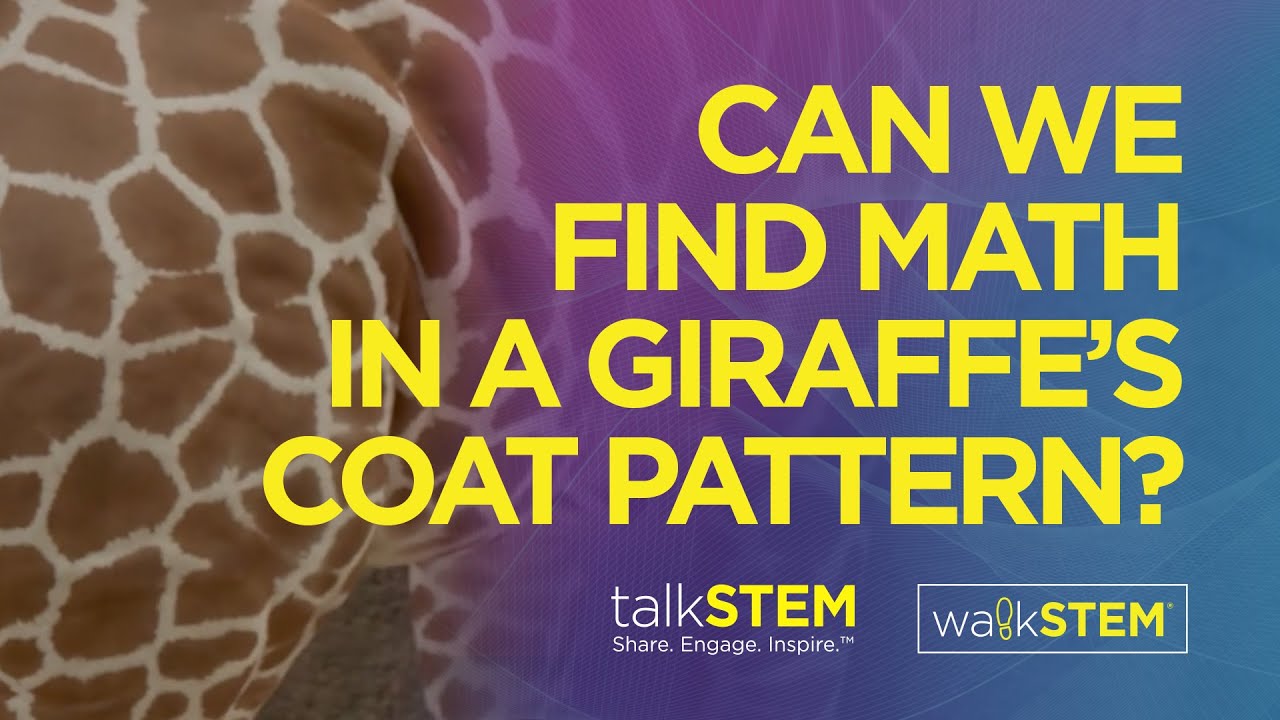 Is there anything mathematical about a visual pattern like the giraffe coat pattern?