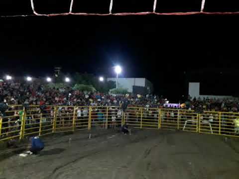RODEIO DE PIQUET CARNEIRO CE