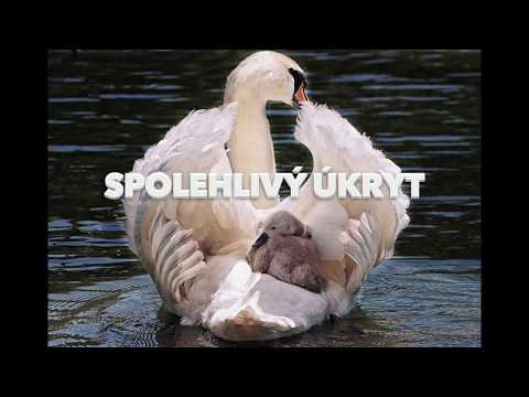 Spolehlivý úkryt - Karel Káňa (21.3.2020)