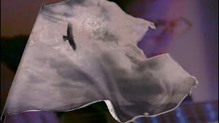 Nick Drake Tow the line