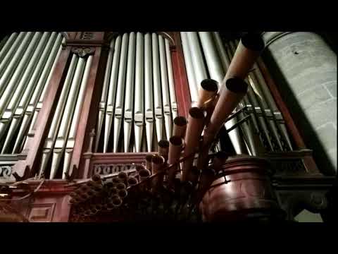 [Bass Boosted] Léon Boëllmann - Suite Gothique (played by Willibald Guggenmos)