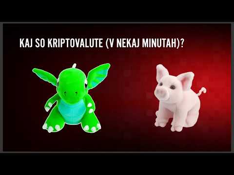 Ali vlagati v kriptovalute z bestseling avtorjem Robertom Rolihom